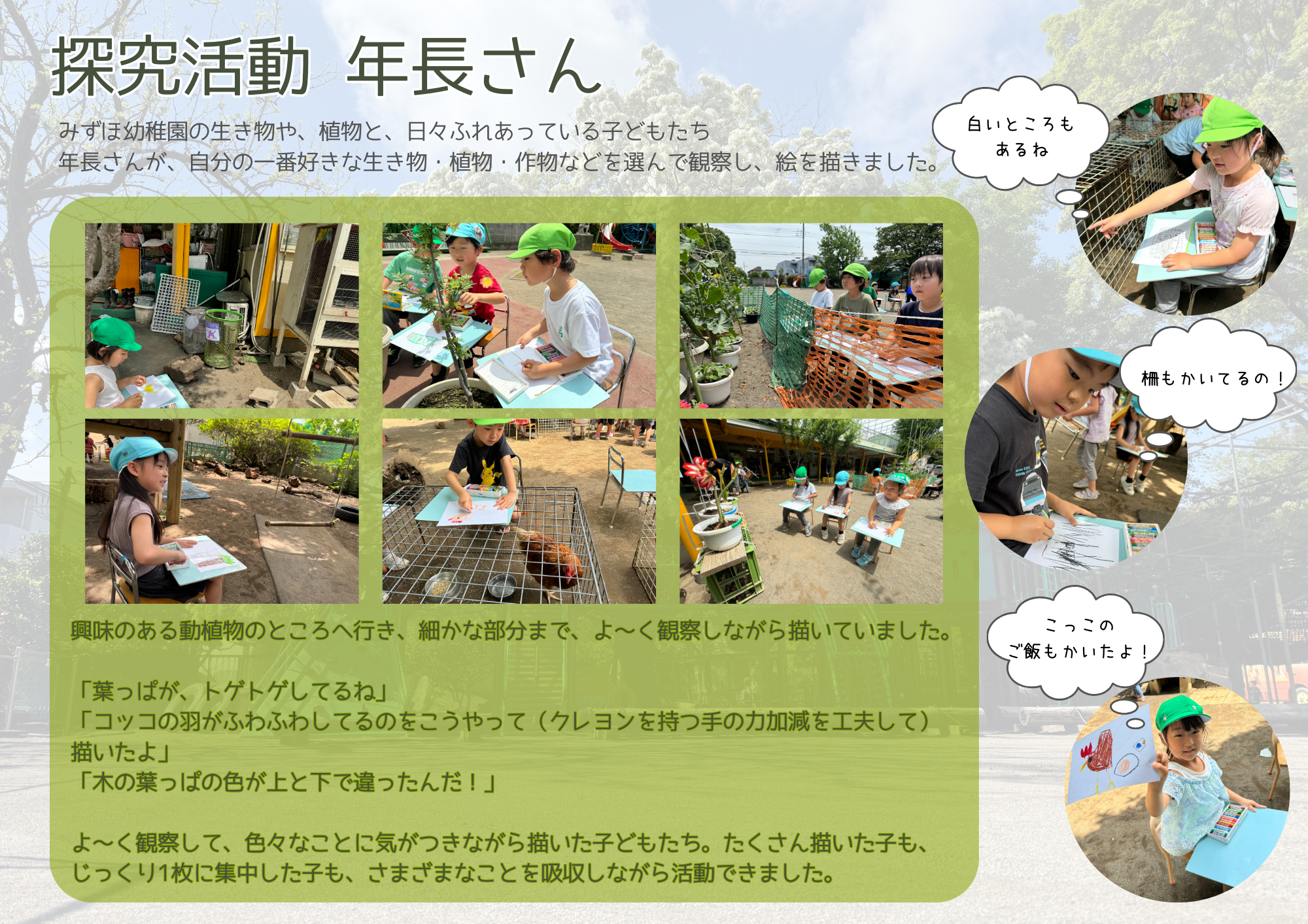 1学期年長さんの探究活動