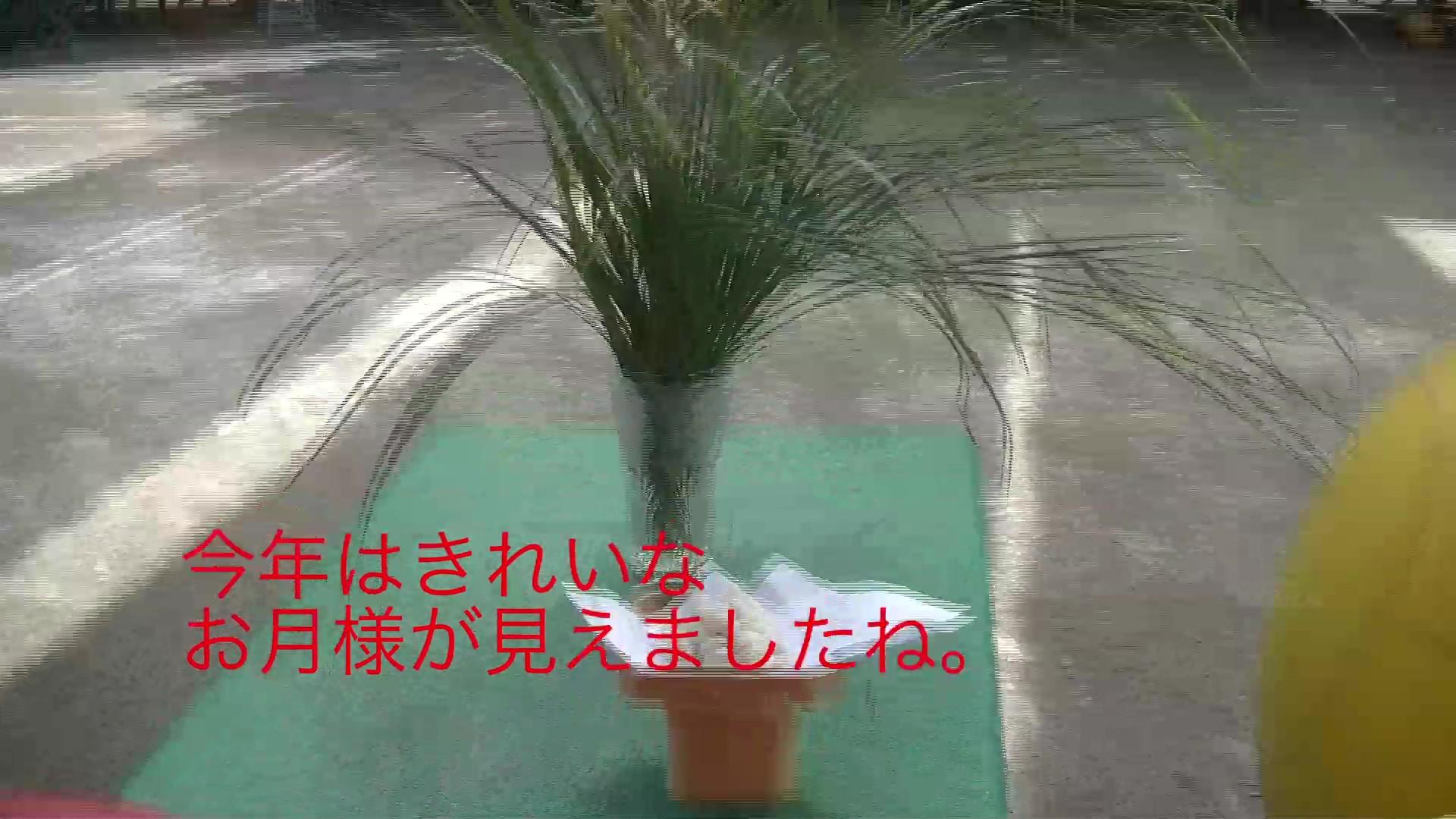 お月見団子　作ってみました。
